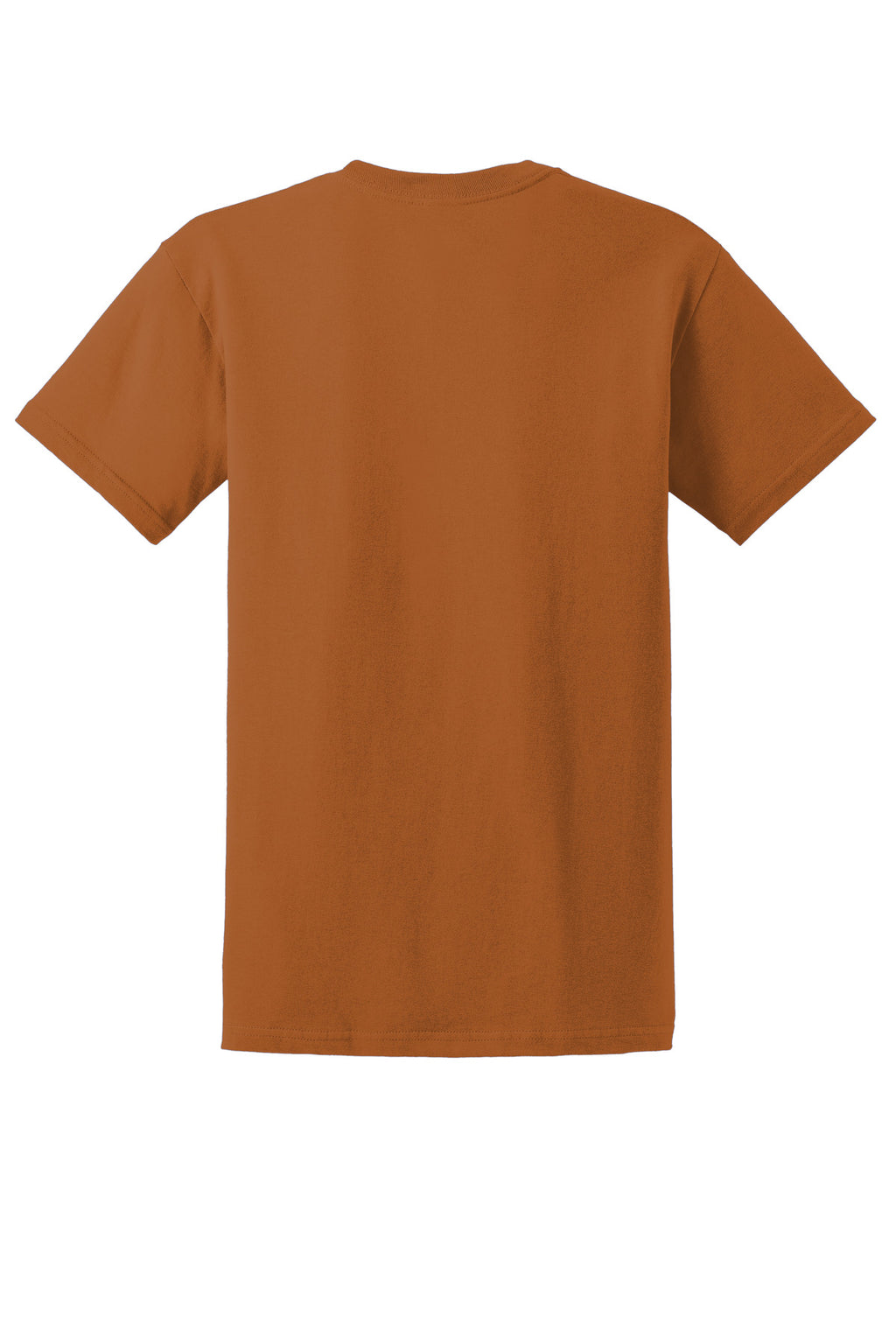 Gildan - Ultra Cotton 100% US Cotton T-Shirt.  2000