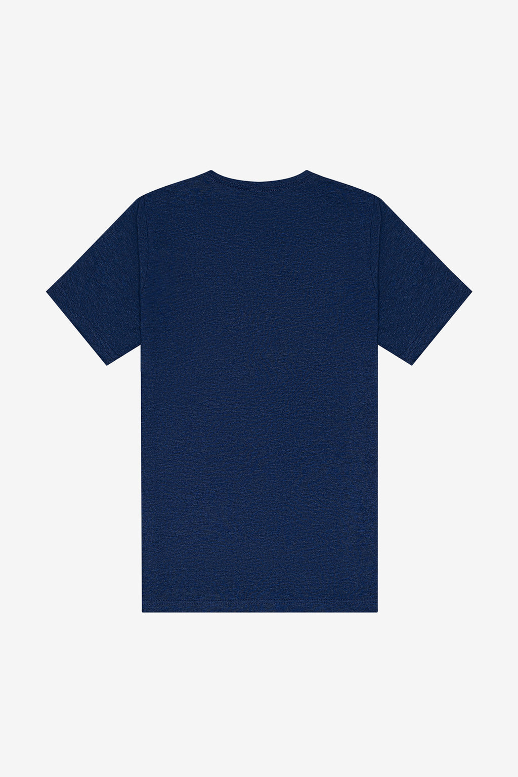 BELLA+CANVAS Unisex Triblend Short Sleeve V-Neck Tee. BC3415
