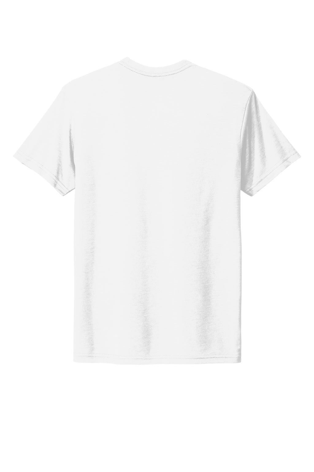Next Level Apparel  Adult Tri-Blend Tee. NL6010