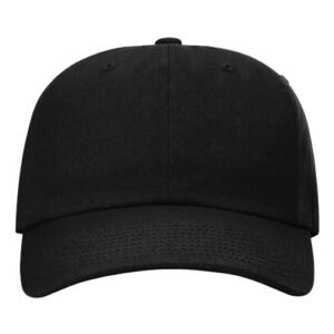 Sustainable Ashland Dad Hat